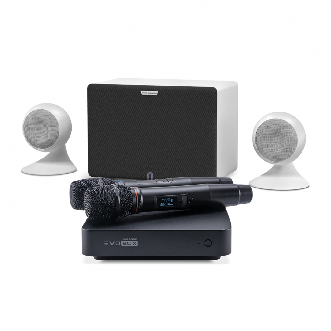 караоке-комплект EVOBOX Classic + EvoSound Sphere 2.1 в Агидели