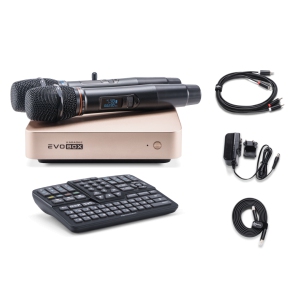 EVOBOX Classic караоке-система для дома в Агидели
