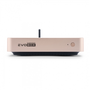 EVOBOX Plus караоке-система для дома в Агидели