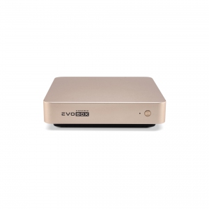 EVOBOX с микрофонами в Агидели